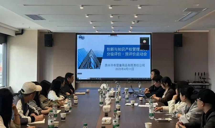 行业首张！卡布荣获ISO 56005分级评价证书