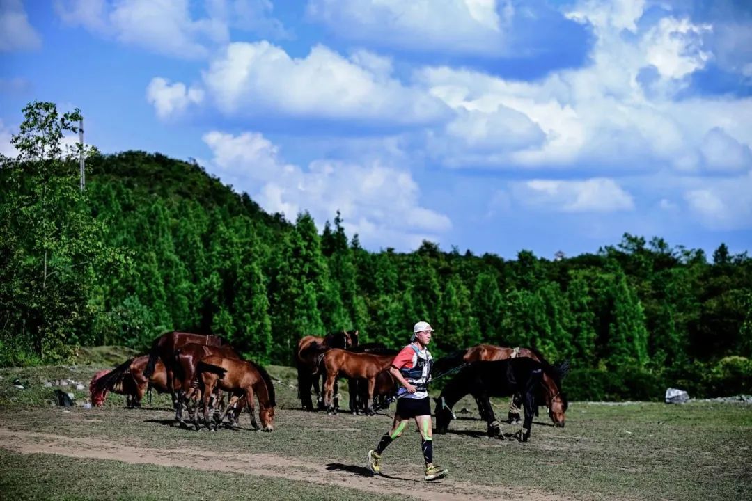 逐梦山野 纵享狂欢 | 2025中国·百里杜鹃第六届越野跑挑战赛超燃开跑