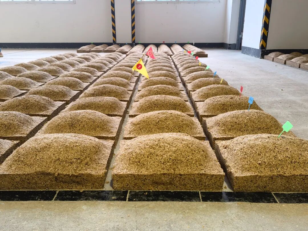 贵州茅台再获中国质量协会表彰