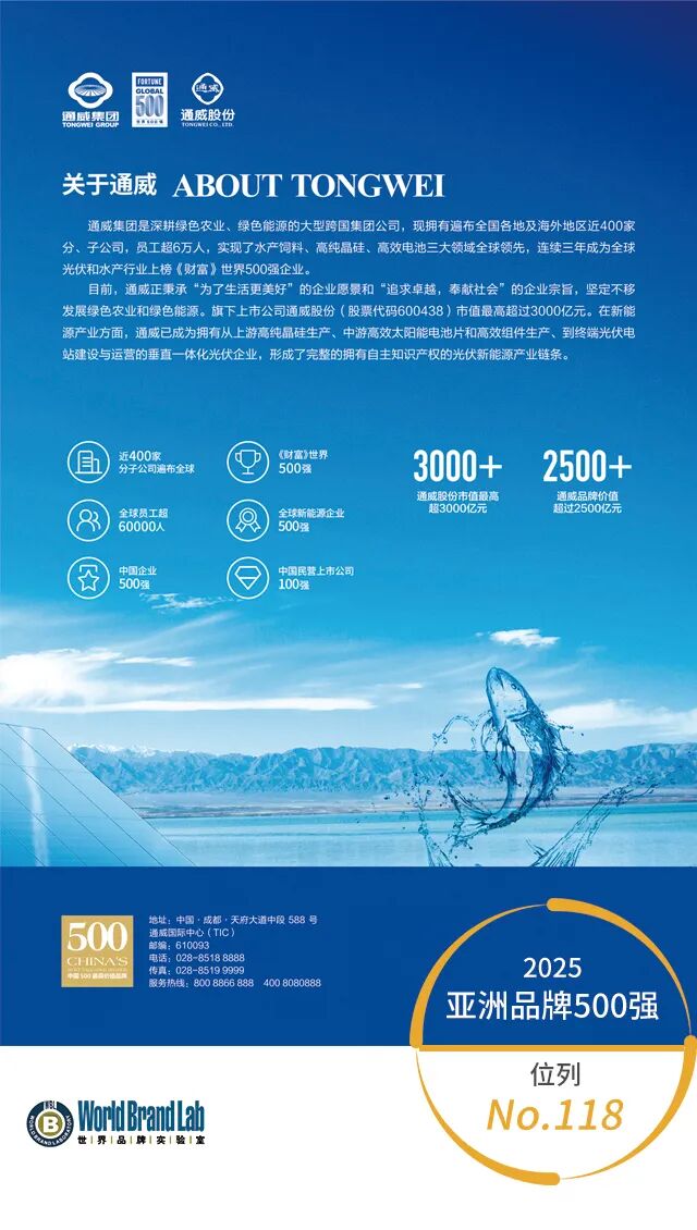 亚洲最具影响力的217个中国品牌