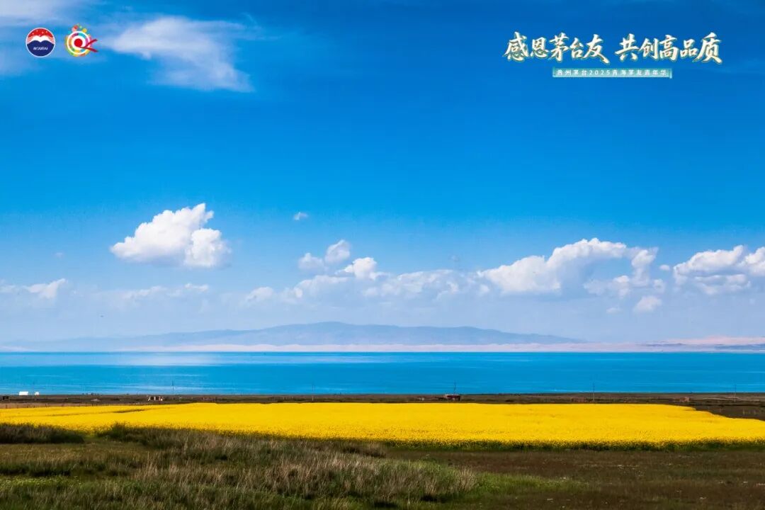 贵州茅台2025年青海茅友嘉年华在青海湖举行