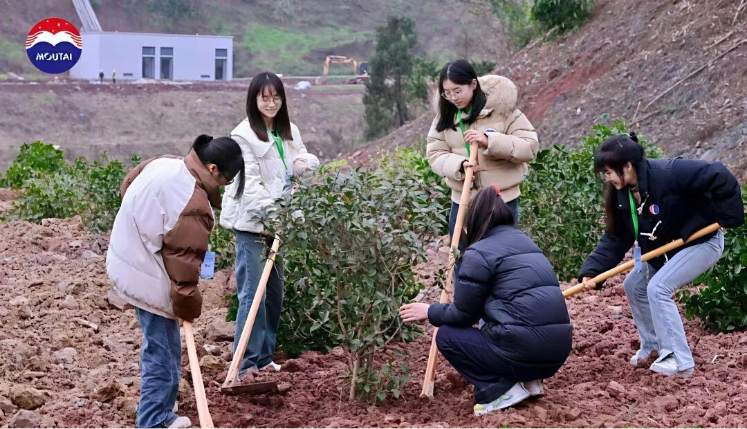 喜报！茅台两支青年志愿服务队分获省级金、银奖表彰