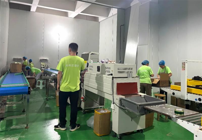 从“高新技术”到“公益先锋”：贵州百草轩用“专精特新”力量传递社会温暖
