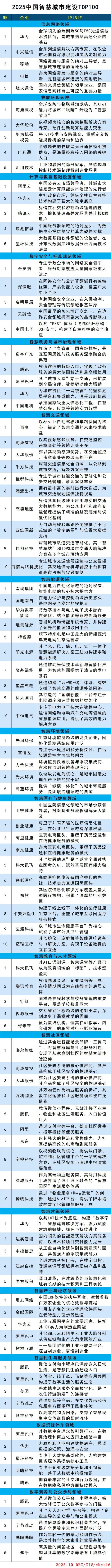 2025中国智慧城市建设TOP100