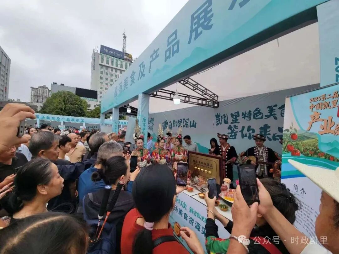 千年酸汤飘香 产业赋能远航——2025第二届中国凯里酸汤产业发展大会举行