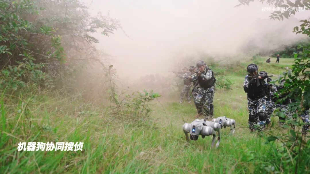 军训总结大会|来看看被官媒转发的军训到底有什么不一样! 军训总结大会|来看看被官媒转发的军训到底有什么不一样!