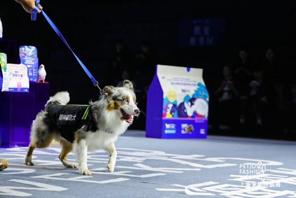 "富养天性，天生上镜"--蓝氏登陆上海宠物时装周，诠释"人宠和谐"新风尚