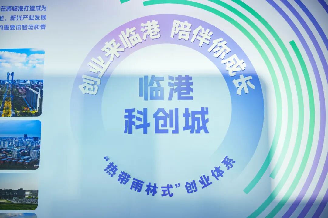 科创点亮未来！临港新片区展厅亮相2025上海城博会