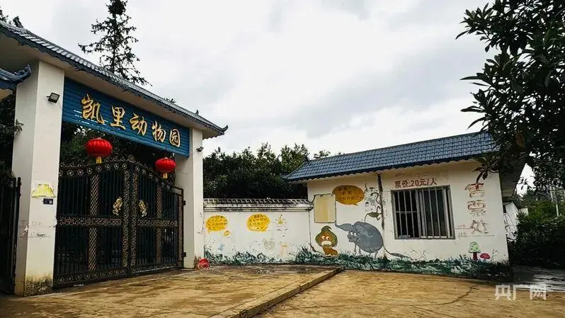 贵州“凯里动物园”走红！20元门票+暖心老人圈粉，这款健康卫士出行包成旅游必备