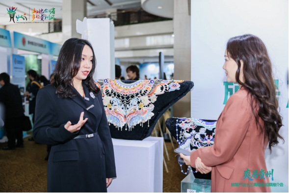 贵旅集团携多元产业板块亮相“爽居贵州”旅居产业（长三角地区）招商推介会