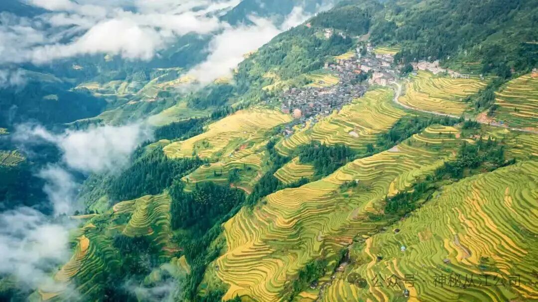 三大景区金秋推介圆满落幕,岜沙苗寨千年文化惊艳全场 三大景区金秋推介圆满落幕,岜沙苗寨千年文化惊艳全场