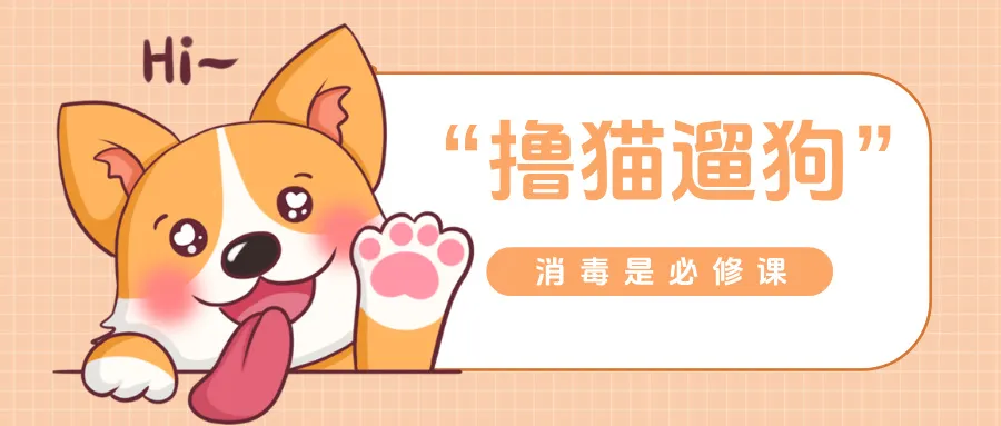 解锁它经济新赛道：宠物有了大学专业，大学生“撸猫遛狗”后消毒是关键