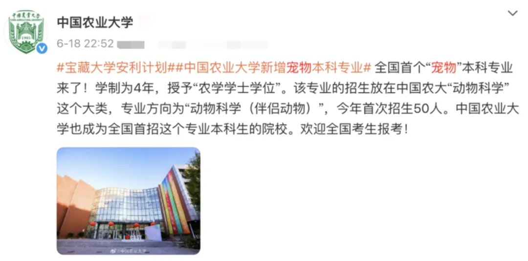 解锁它经济新赛道：宠物有了大学专业，大学生“撸猫遛狗”后消毒是关键