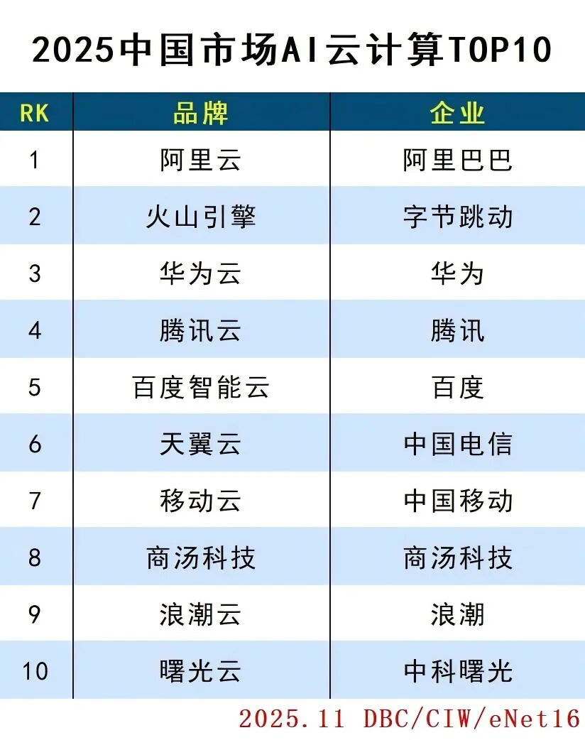 2025中国市场AI云计算TOP10