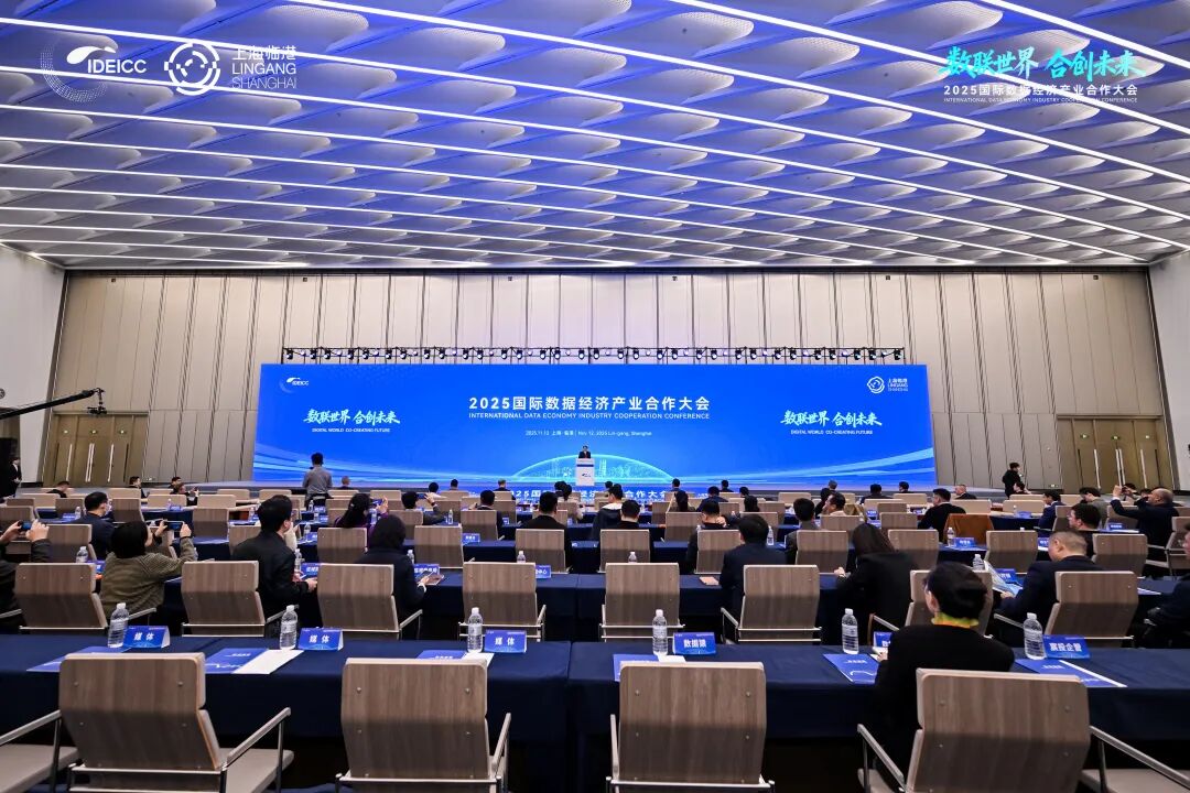 数联世界、合创未来，2025国际数据经济产业合作大会在临港新片区成功举办