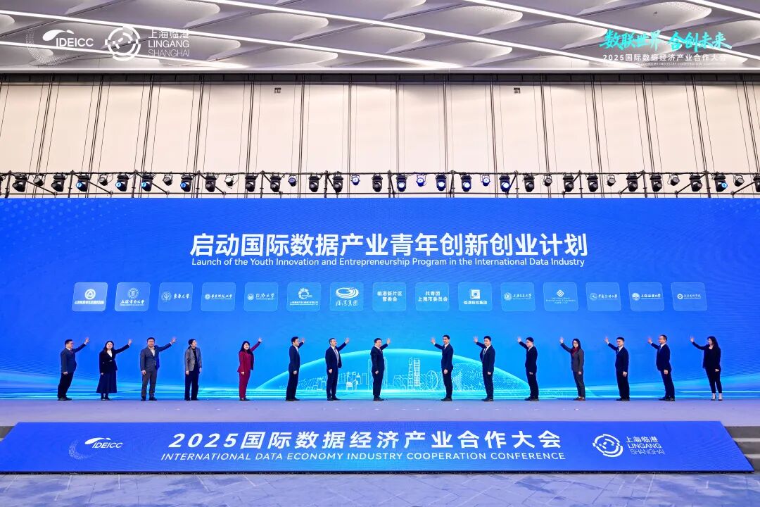 数联世界、合创未来，2025国际数据经济产业合作大会在临港新片区成功举办