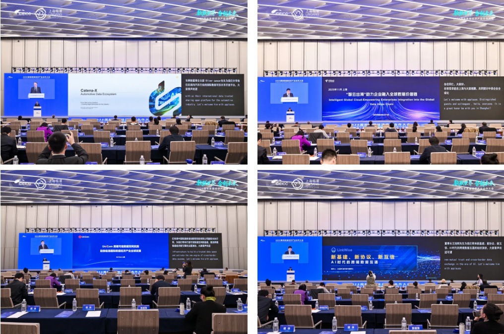 数联世界、合创未来，2025国际数据经济产业合作大会在临港新片区成功举办