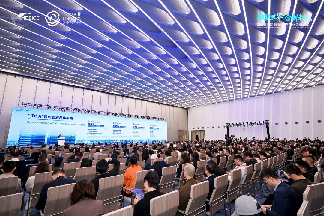 数联世界、合创未来，2025国际数据经济产业合作大会在临港新片区成功举办