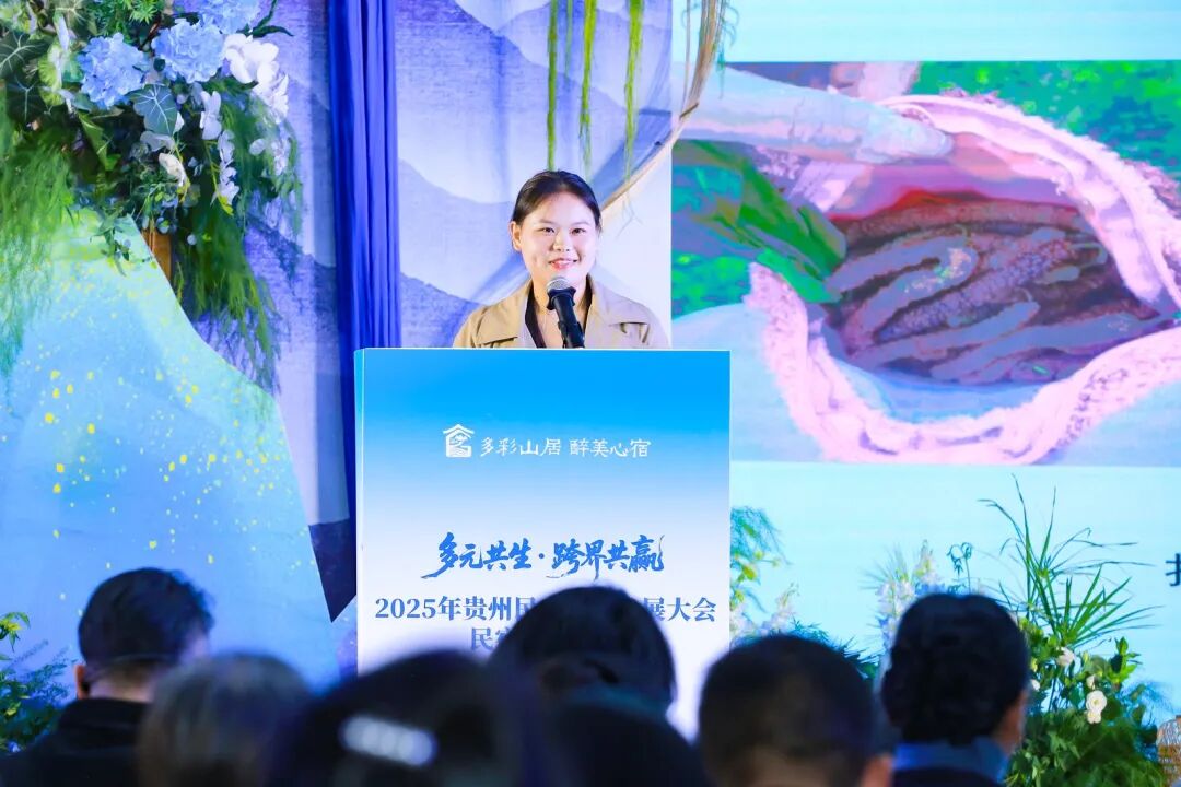 多元共生·跨界共赢 2025年贵州民宿产业发展大会在贵阳启幕 共绘产业高质量发展新蓝图