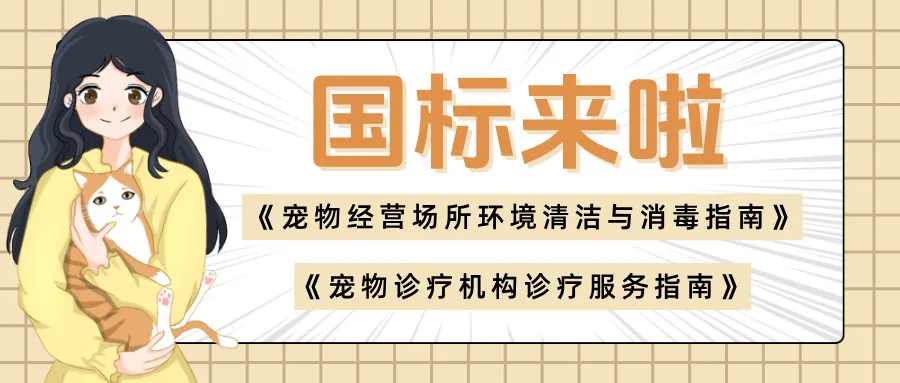 重磅！宠物服务有了“国标红线”，消毒+诊疗双标准守护毛孩子安全