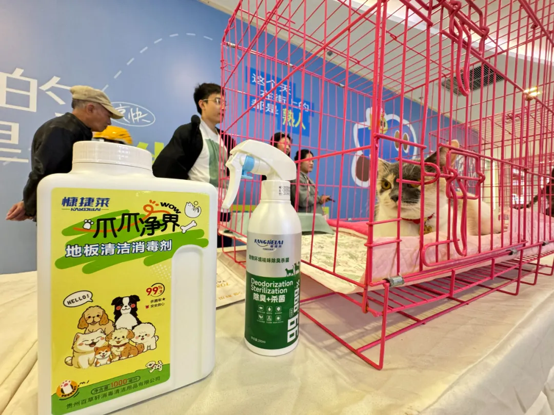 「在线等一个家」饱护计划公益领养活动在贵阳观山湖区云上方舟举行 「在线等一个家」饱护计划公益领养活动在贵阳观山湖区云上方舟举行