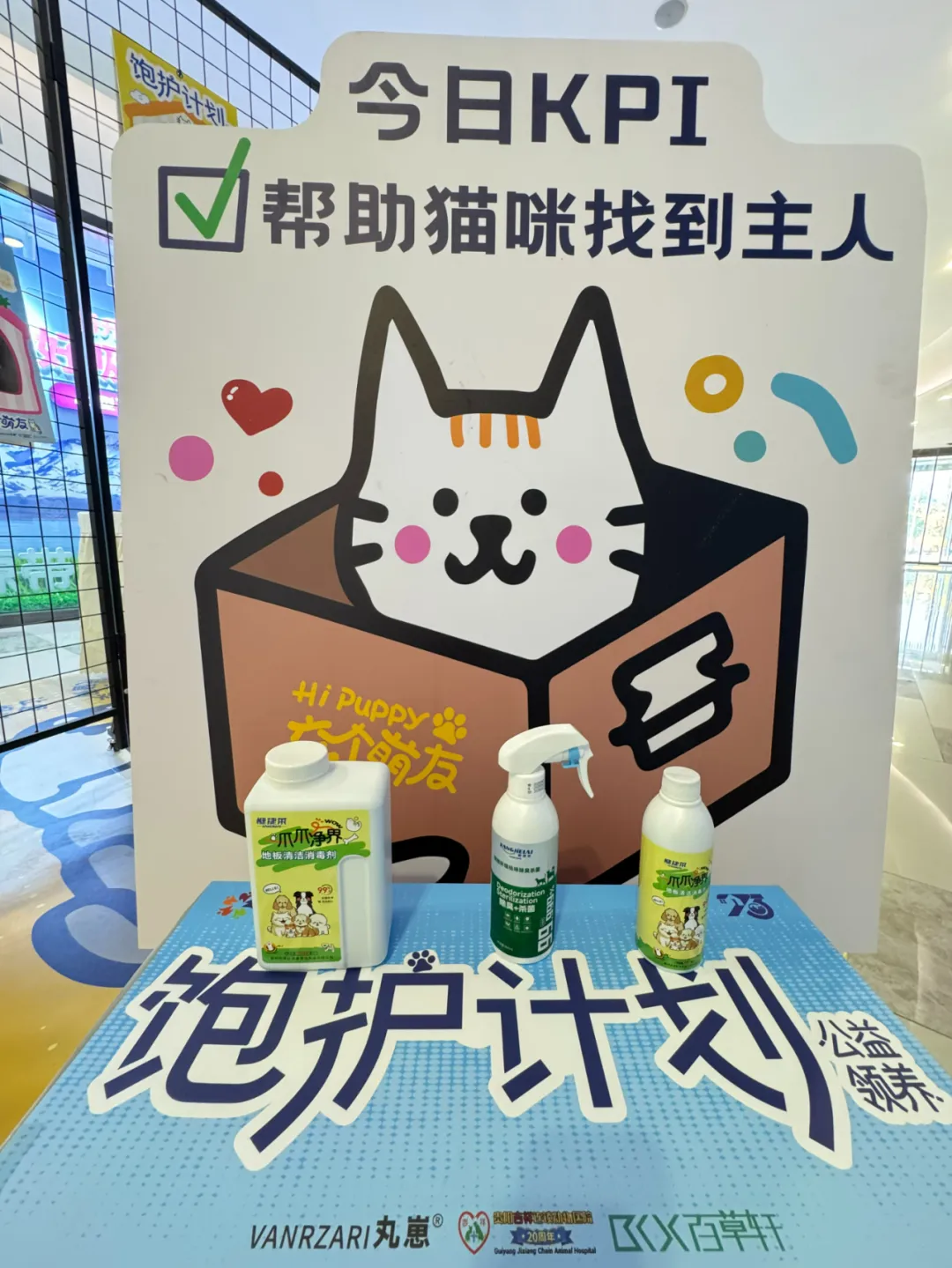 「在线等一个家」饱护计划公益领养活动在贵阳观山湖区云上方舟举行 「在线等一个家」饱护计划公益领养活动在贵阳观山湖区云上方舟举行