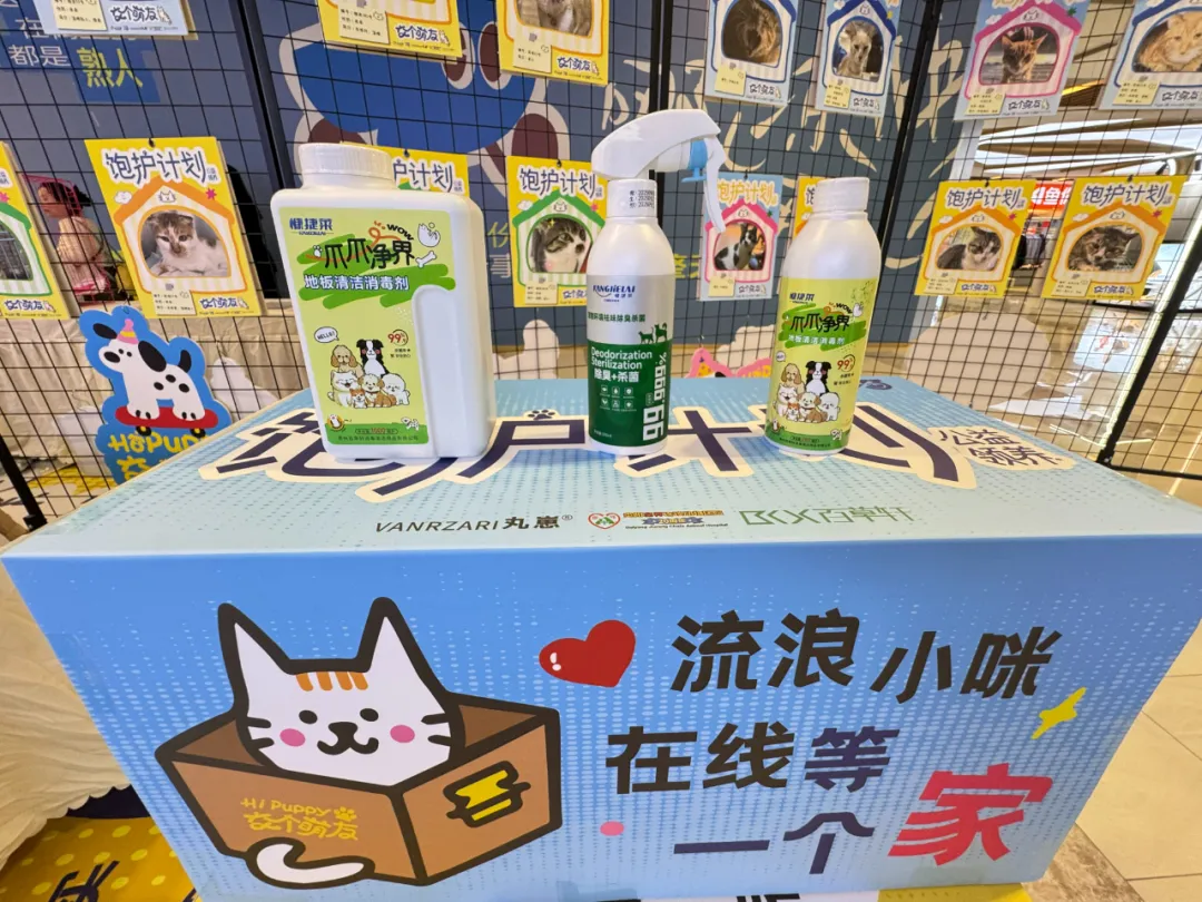 「在线等一个家」饱护计划公益领养活动在贵阳观山湖区云上方舟举行 「在线等一个家」饱护计划公益领养活动在贵阳观山湖区云上方舟举行