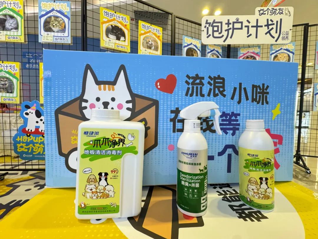 「在线等一个家」饱护计划公益领养活动在贵阳观山湖区云上方舟举行 「在线等一个家」饱护计划公益领养活动在贵阳观山湖区云上方舟举行