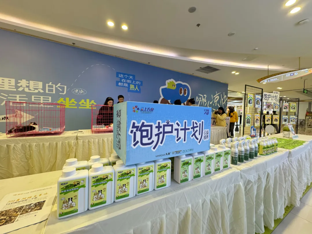 「在线等一个家」饱护计划公益领养活动在贵阳观山湖区云上方舟举行 「在线等一个家」饱护计划公益领养活动在贵阳观山湖区云上方舟举行