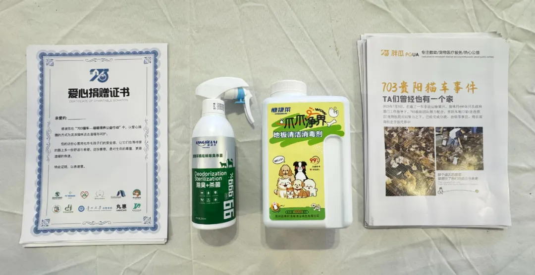 「在线等一个家」饱护计划公益领养活动在贵阳观山湖区云上方舟举行 「在线等一个家」饱护计划公益领养活动在贵阳观山湖区云上方舟举行