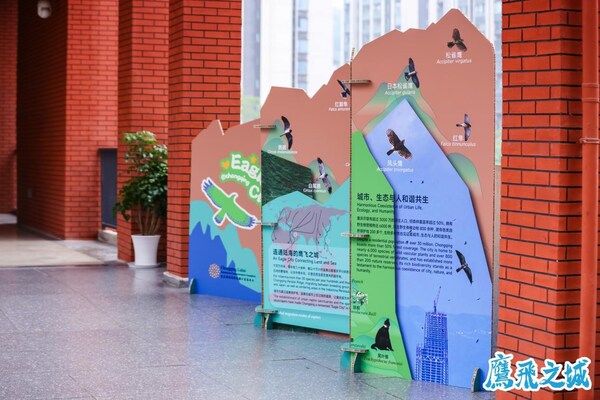 众合云科携手重庆陆海基金会，共同守护"鹰飞之城"