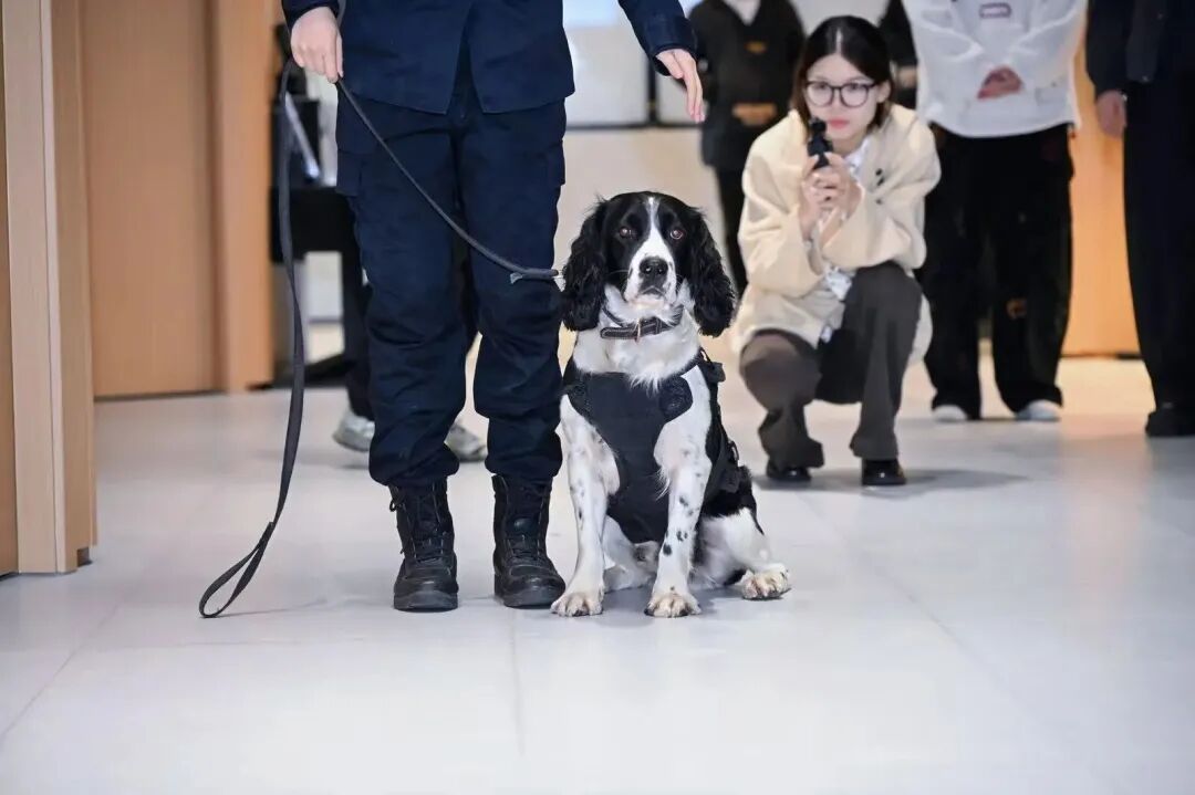 【营商】“她”创联盟再结硕果，西柏丽与百丰蔬餐饮成功签约