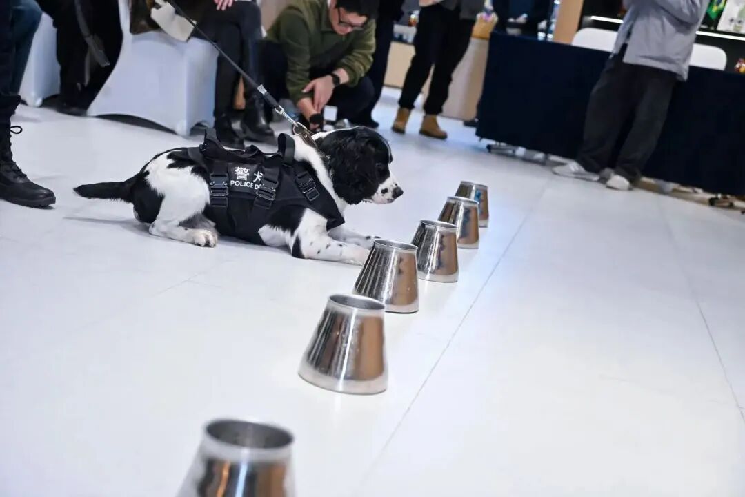 【营商】“她”创联盟再结硕果，西柏丽与百丰蔬餐饮成功签约