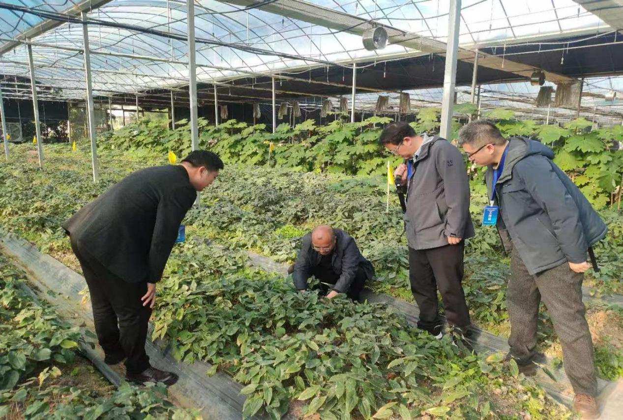 硬核赋能！政企研协同点燃黔东南实体经济新引擎——“乐创黔东南”进企行动再深化