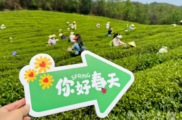 品牌百科 | 贵州安顺瀑布茶业有限公司