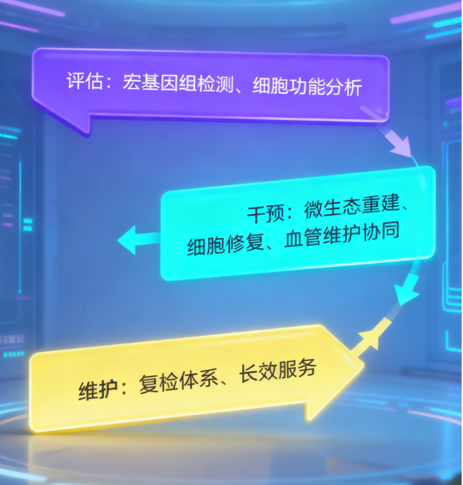 三方共建战略联盟:荷蓬生物携手承葛生物、诺西生物发布“微生态-细胞-血管”全轴式健康优化方案 三方共建战略联盟:荷蓬生物携手承葛生物、诺西生物发布“微生态-细胞-血管”全轴式健康优化方案