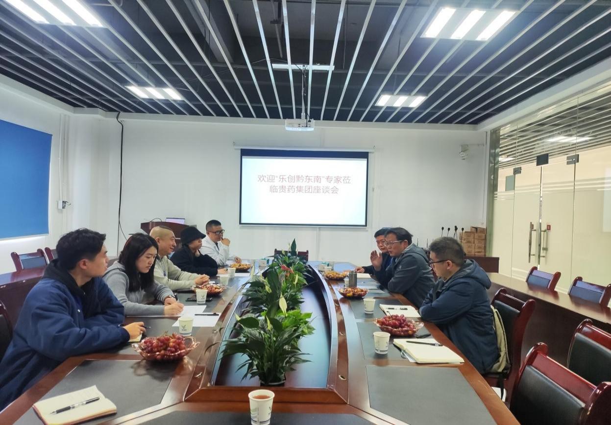 “乐创黔东南”专家、服务机构进企业服务为黔东南高质量发展注入强劲人社动能