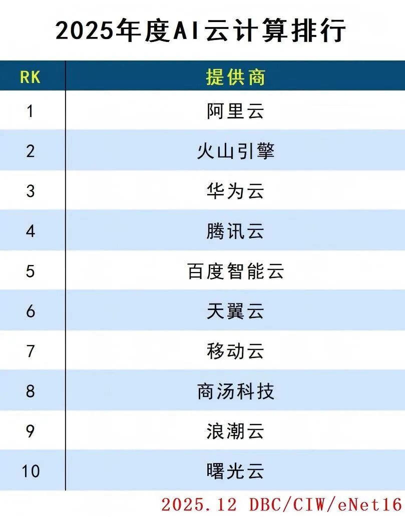 2025年度云计算分类排行