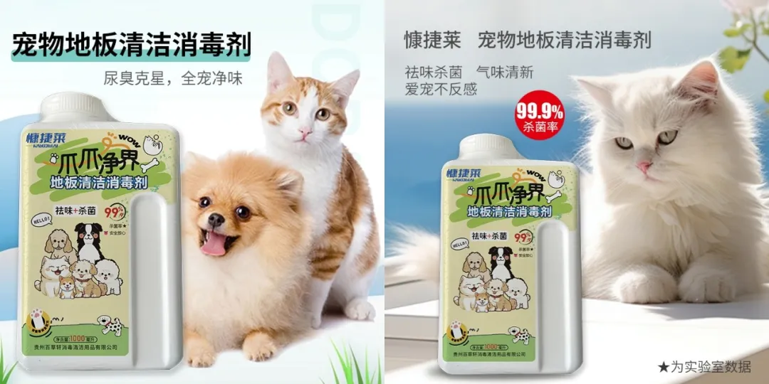 养宠家庭必藏！宠物友好消毒用品合集&携宠出行也安心