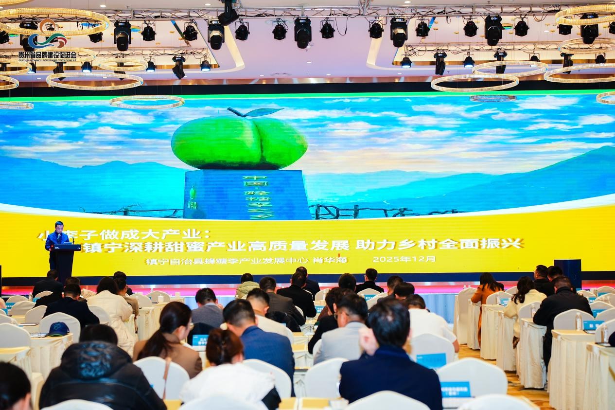 凝心聚力 共筑黔程——谱写贵州品牌发展新篇章 凝心聚力 共筑黔程——谱写贵州品牌发展新篇章