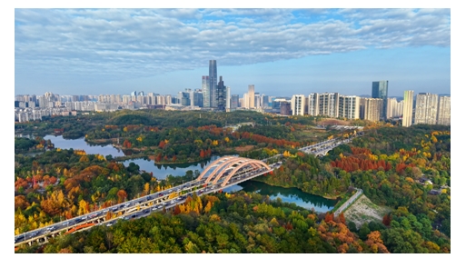 @贵阳通：坚持深度内容创作，十年深耕赋能贵州文化传播