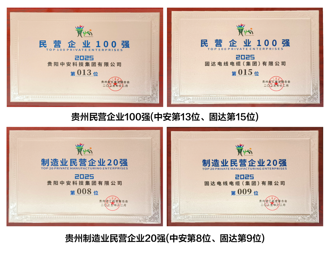 2025贵州民营企业100强公布（附名单）