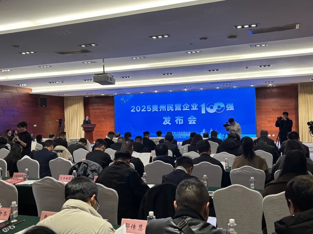 2025贵州民营企业100强公布（附名单）