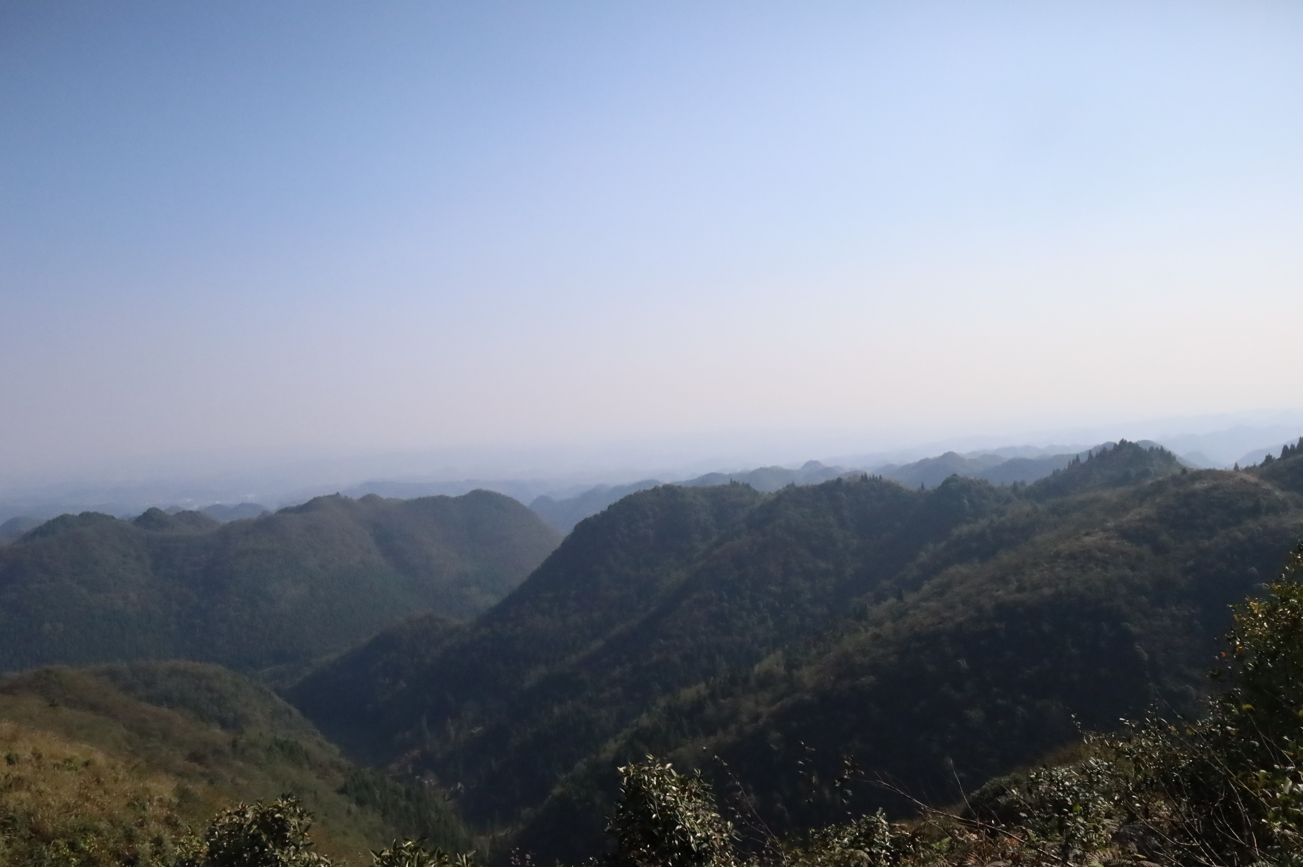 藏在日常里的“贵州科技养生”！贵州中科分子让道地本草走进千万家庭