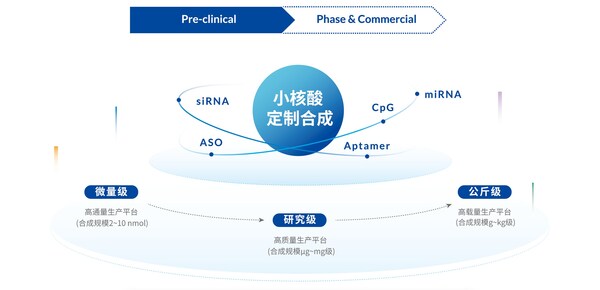 擎科生物推出"siRNA裸序列定制合成服务"，创新实现最快3天交付