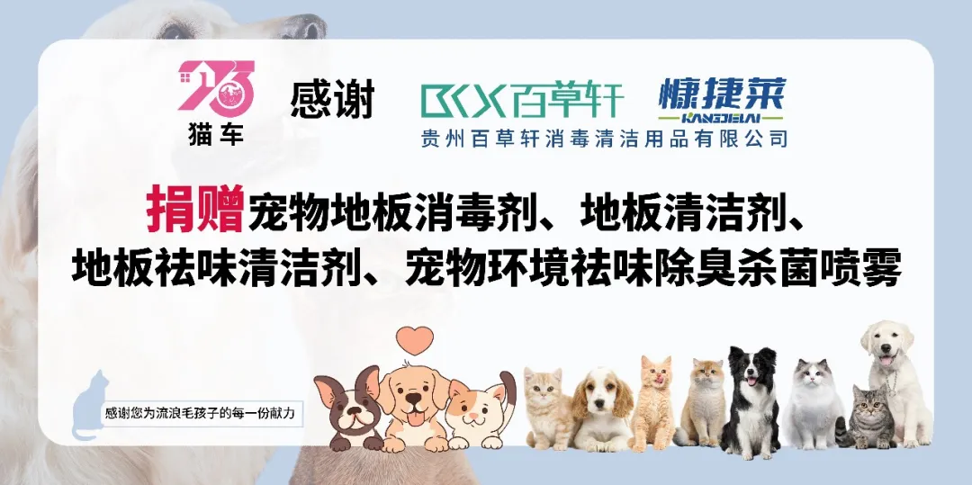 暖冬计划 | 2026贵州百草轩公益行动，用科技为流浪毛孩子筑牢健康防线