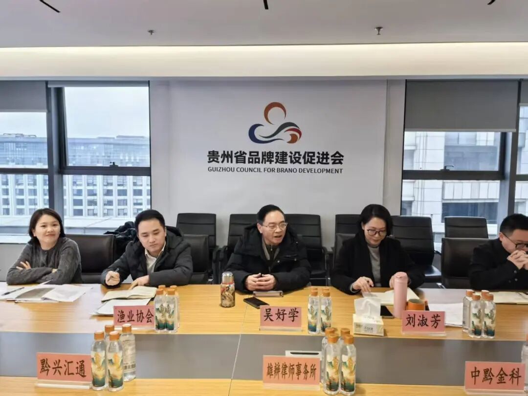 夯实质量根基 驱动品牌跃升——贵州省品牌建设促进会成功举办新版质量管理体系内审员专项培训 夯实质量根基 驱动品牌跃升——贵州省品牌建设促进会成功举办新版质量管理体系内审员专项培训