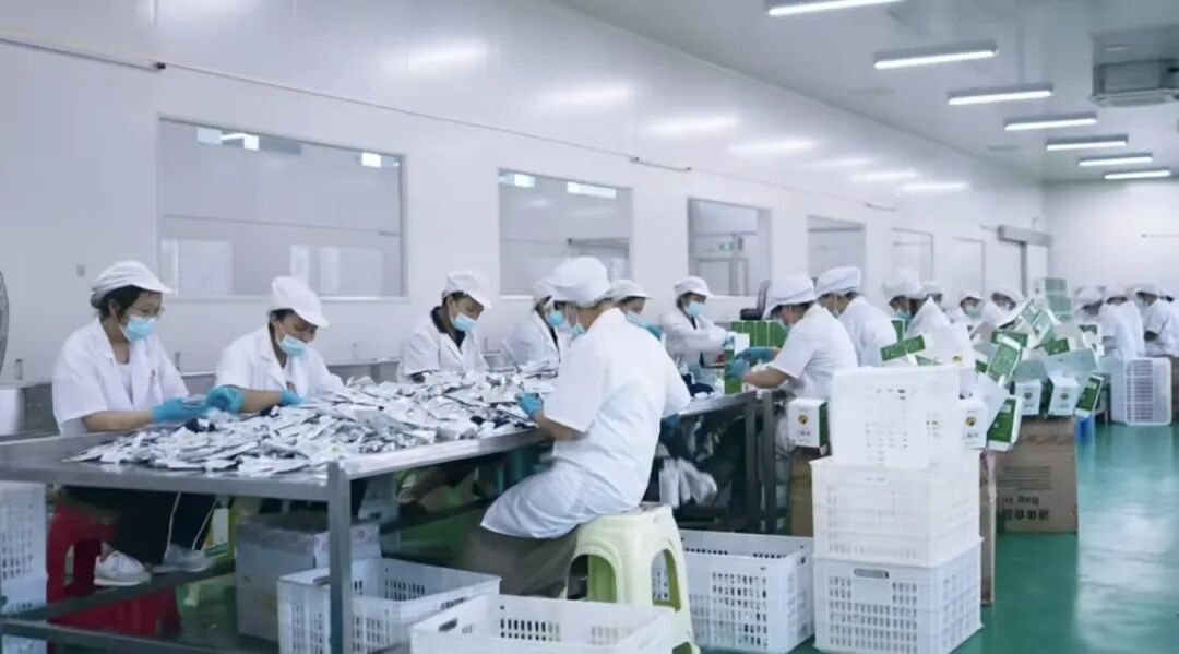 走进“专精特新” | 数智赋能“野果”成金 实业兴黔彰显担当——贵州山王果集团引领特色工业高质量发展纪实