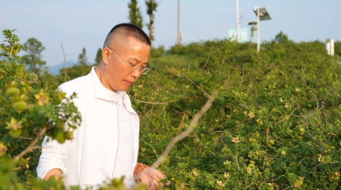 走进“专精特新” | 数智赋能“野果”成金 实业兴黔彰显担当——贵州山王果集团引领特色工业高质量发展纪实