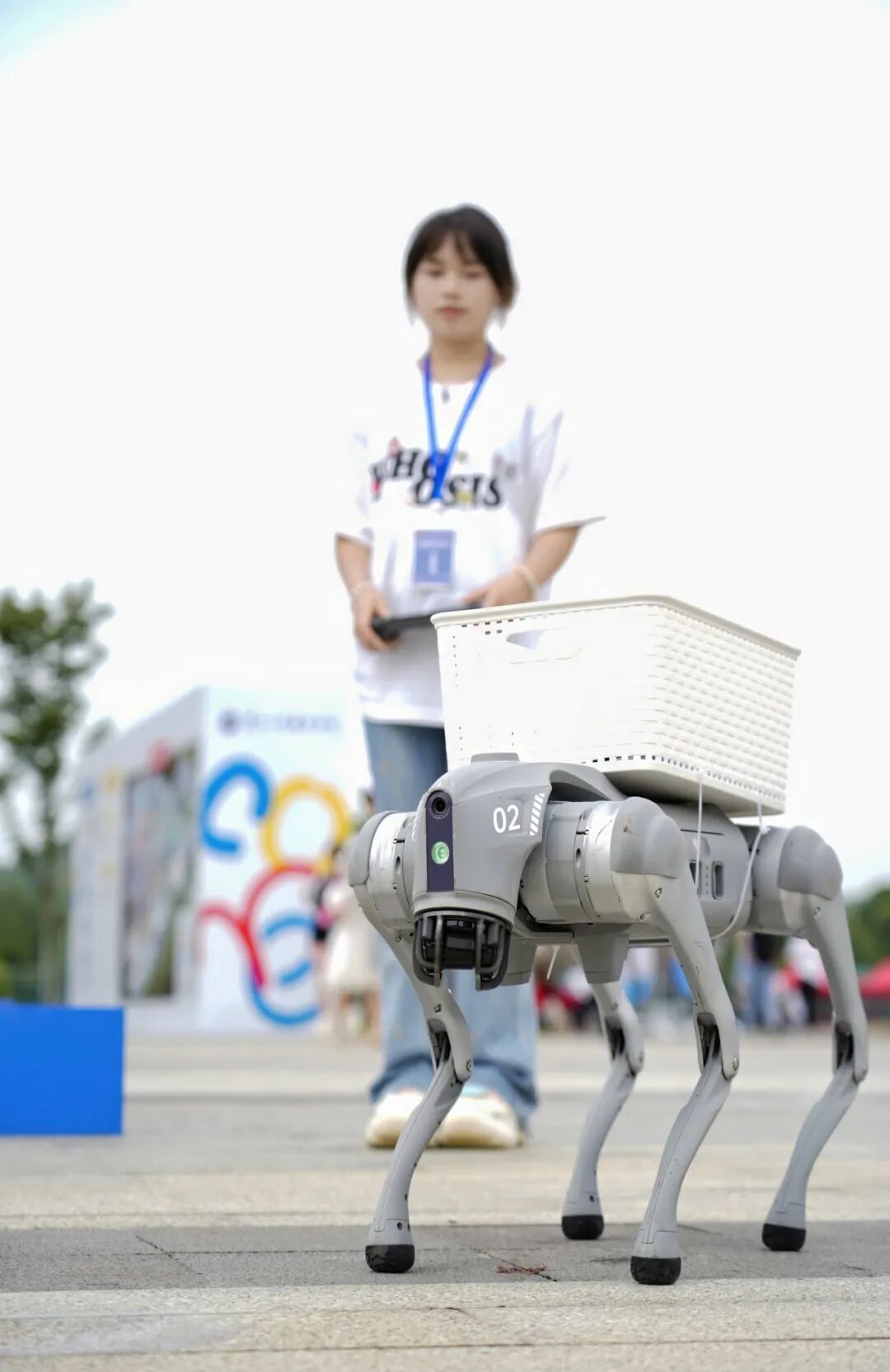 聚焦评价改革 彰显育人成效——贵州工商职业学院两项省级教育评价改革项目顺利通过验收